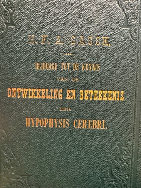 SASSE, HENDRIK FREDERIK AUGUST, Bijdrage tot de kennis van de Ontwikkeling en Beteekenis der Hypophysis cerebri.