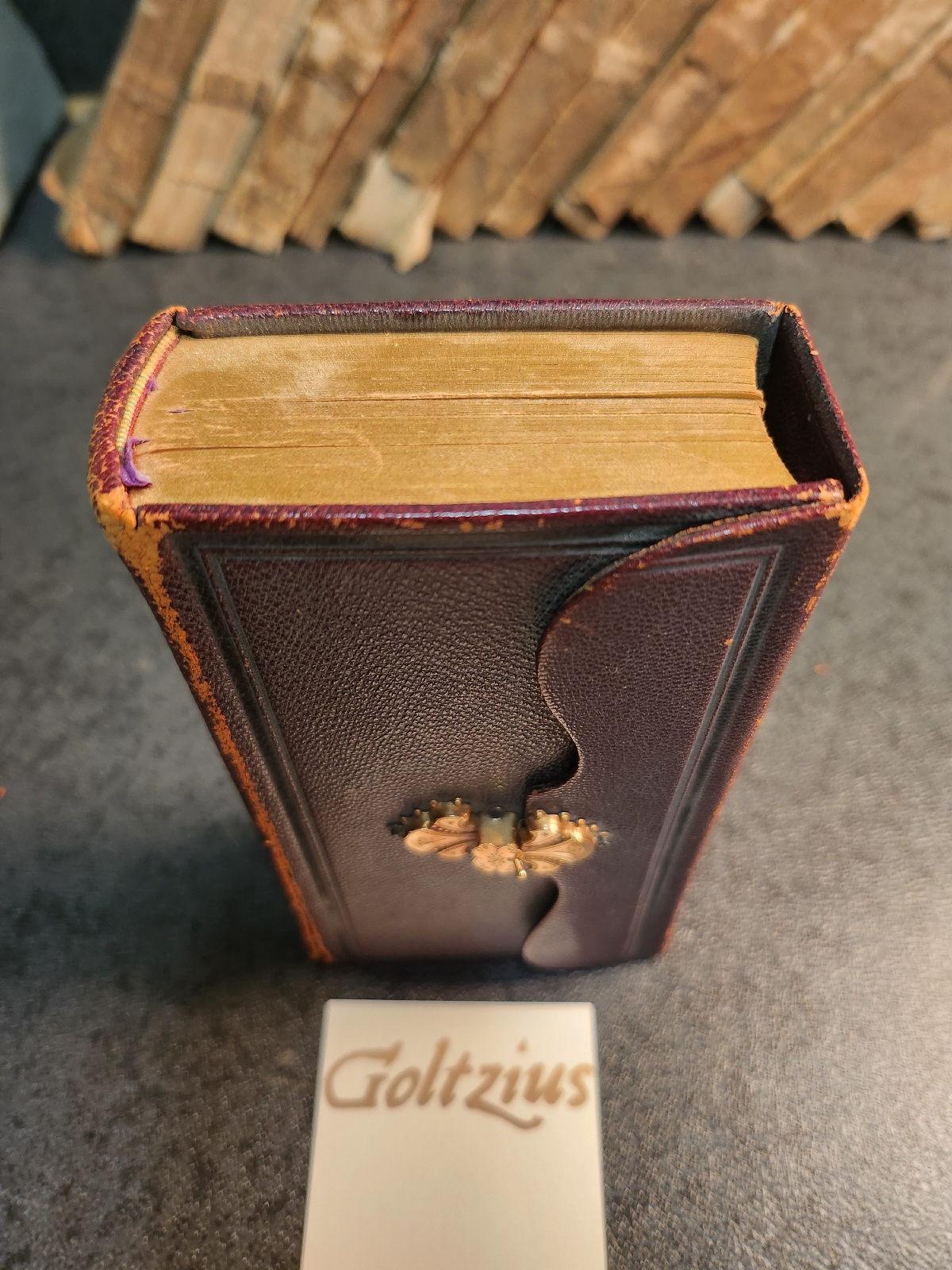 Bijbel, het nieuwe testament, met gouden slot (Bible with gold lock and gilded edges)