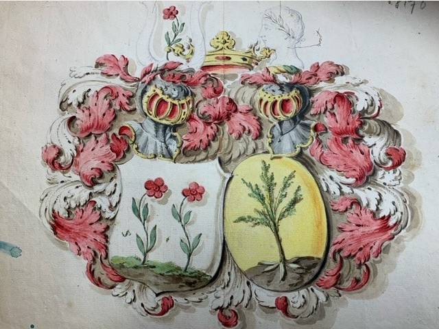 Two attractive hand drawn and hand coloured coats of arms. Heraldic design for an alliance (alliantiewapen).