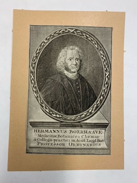 Boerhaave: portrait