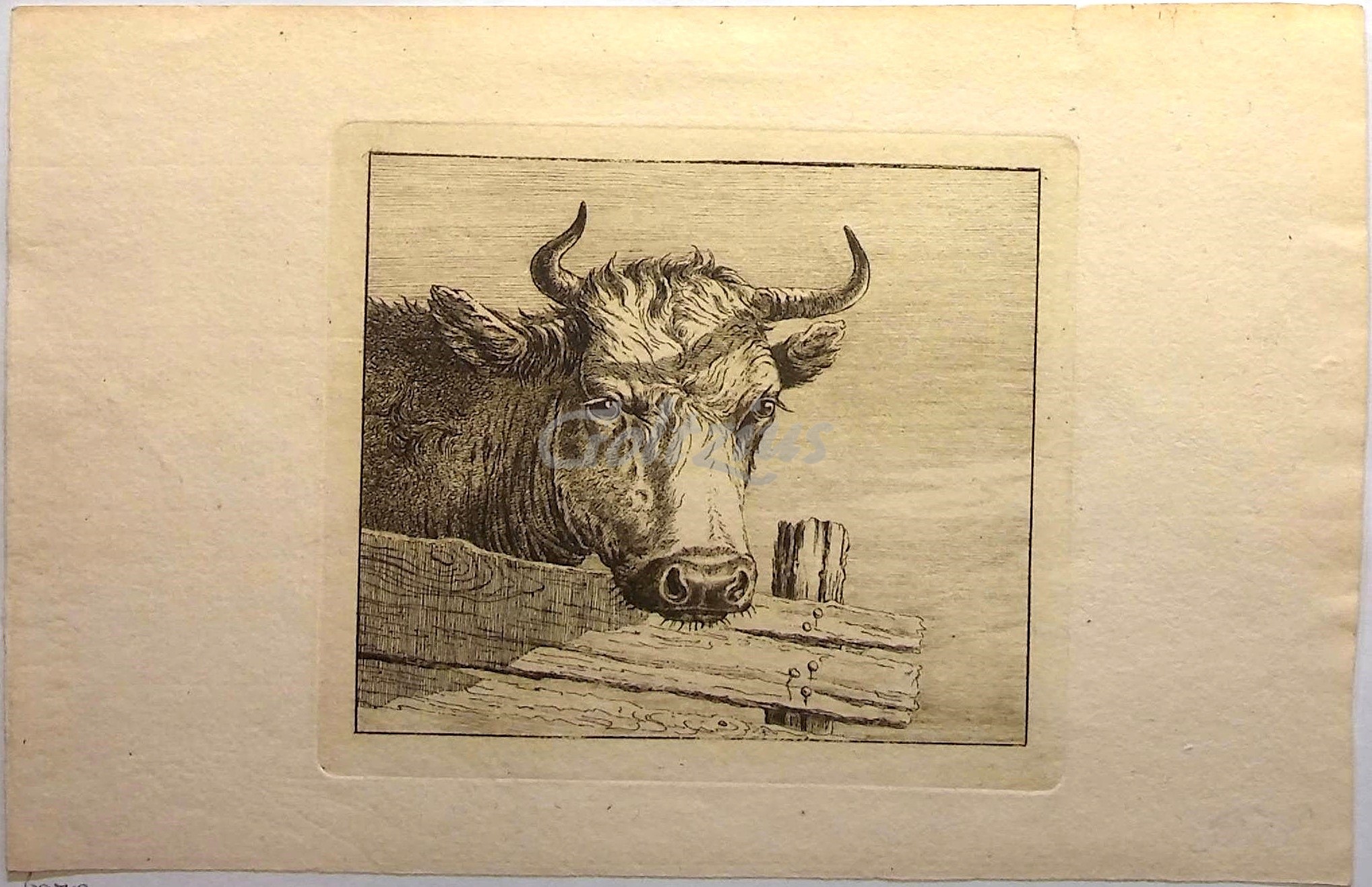 BAGELAAR, ERNST WILLEM JAN (1775-1837), Cow's head above fence
