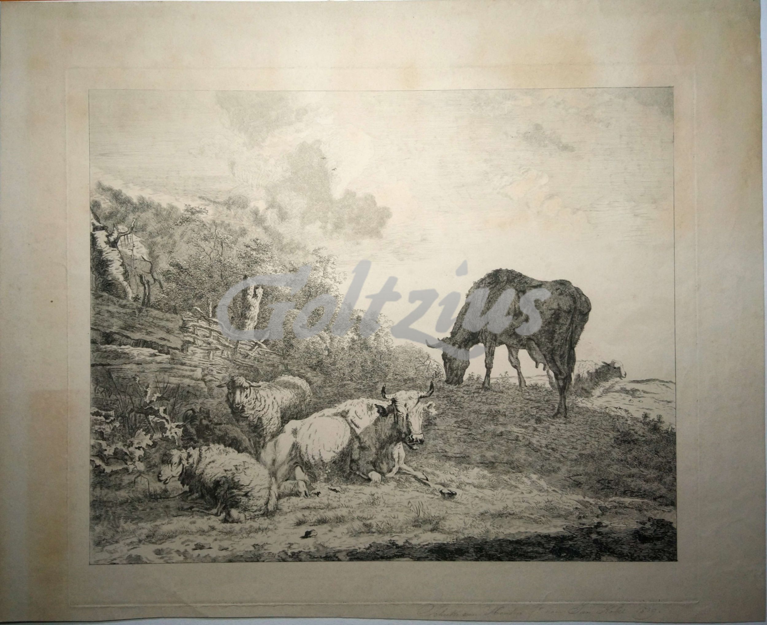 SCHUTZE VAN HOUTEN, GODFRIED, Landscape with cattle