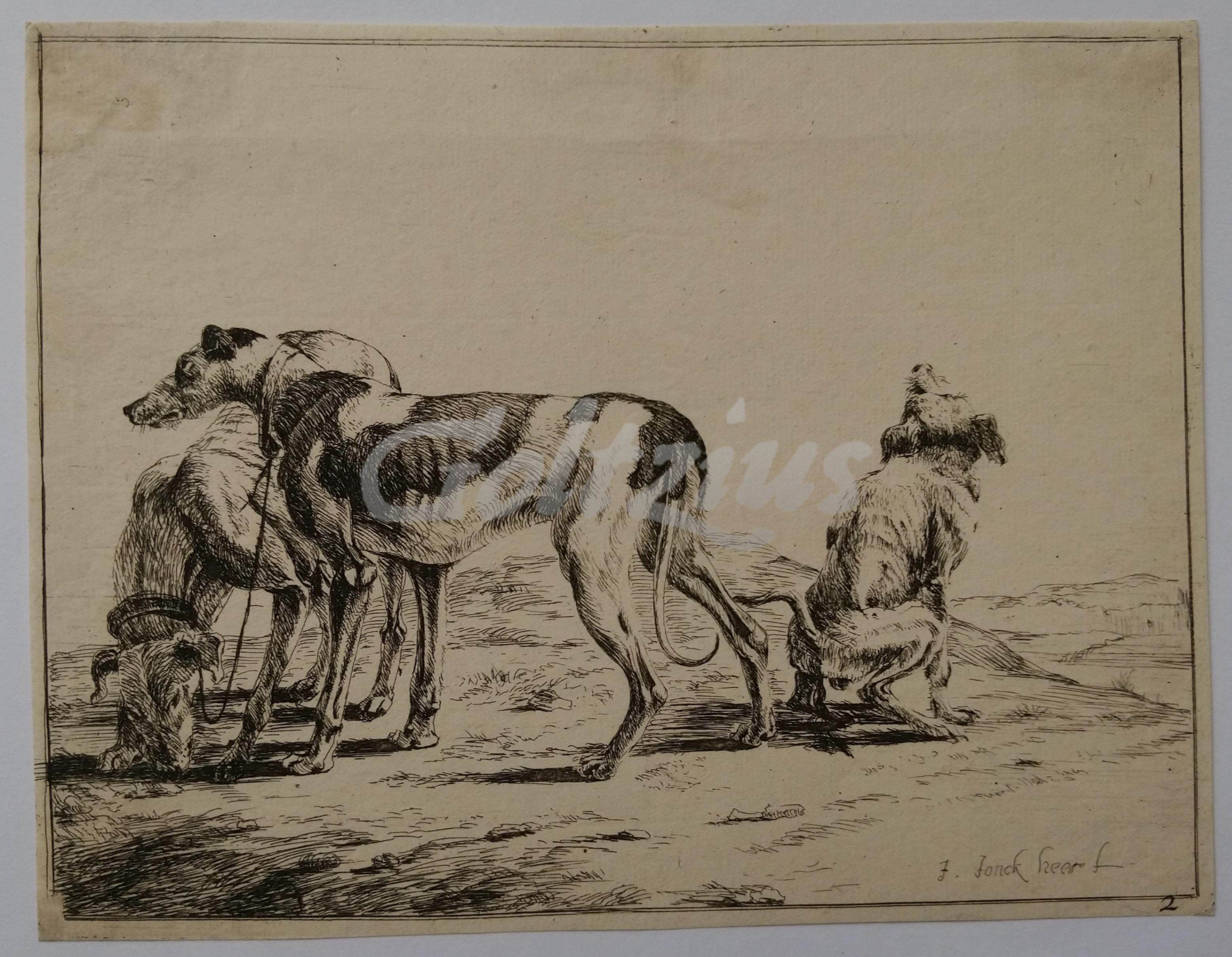 JONCKHEER, JACOB DE, Three greyhounds in a landscape