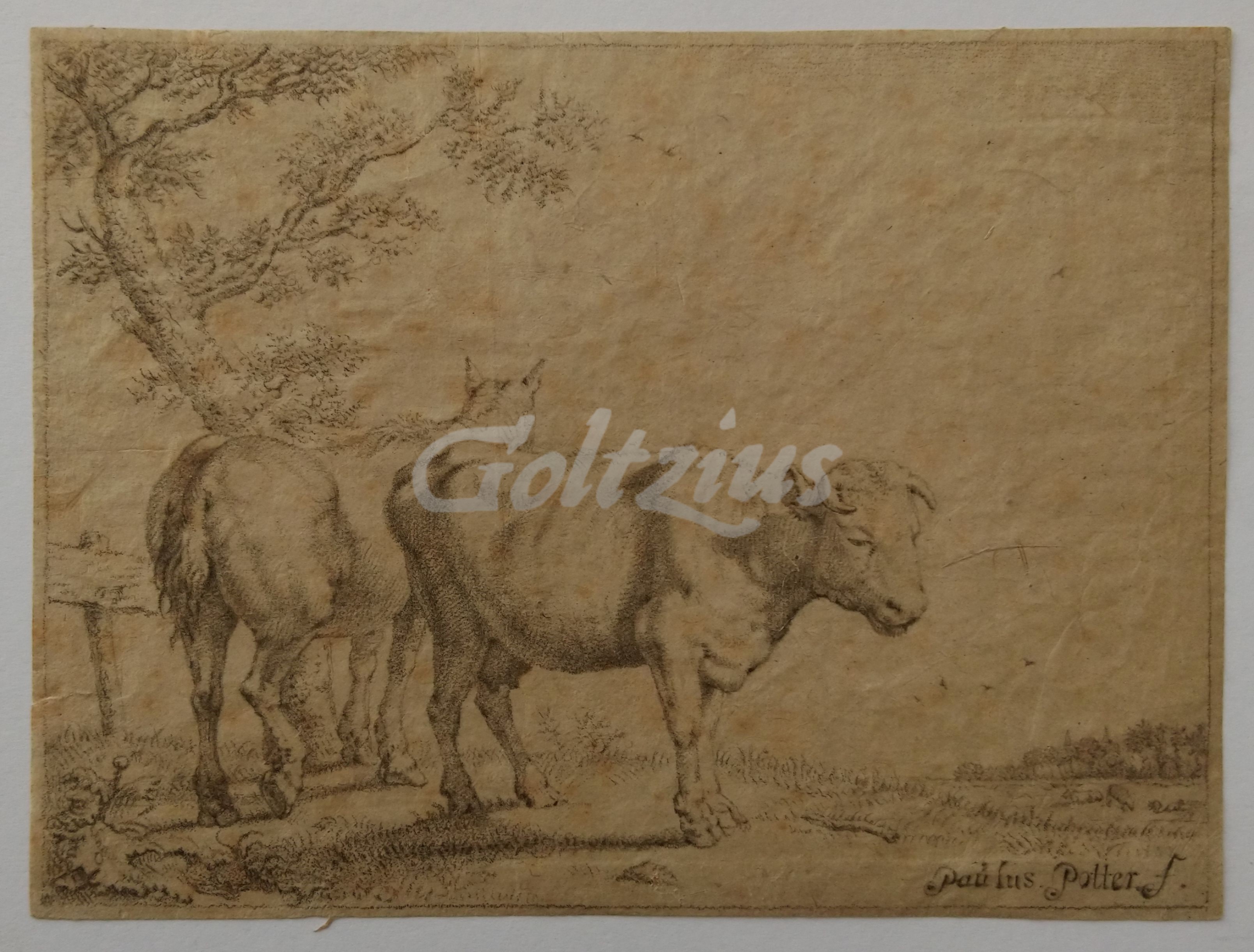 BIJLAERT, JAN JACOB, Bull and horse standing near a fence