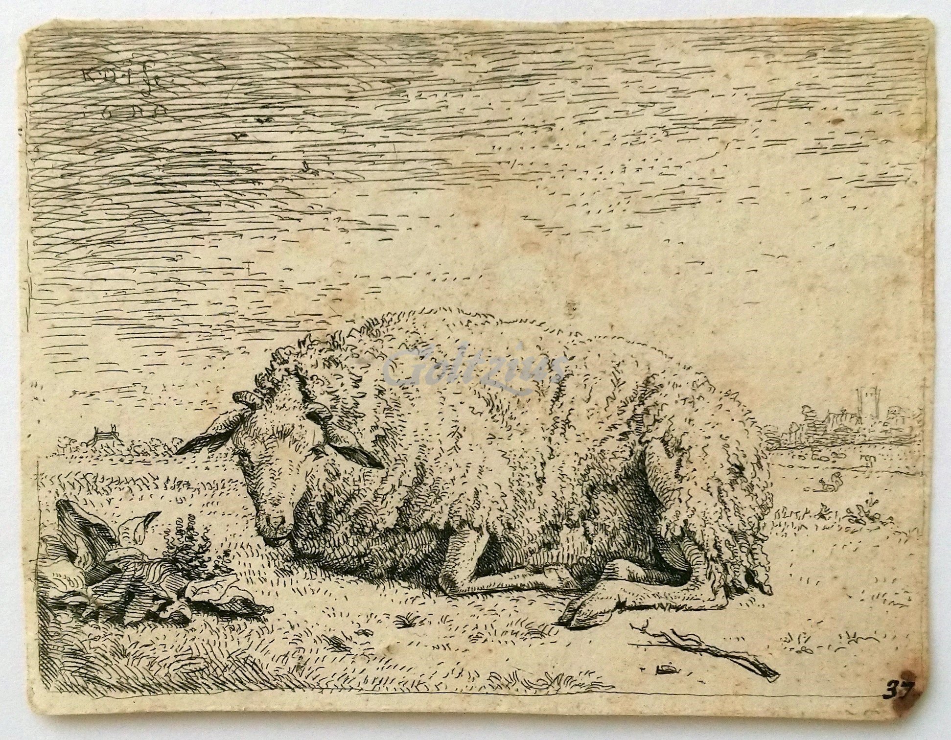 DUJARDIN, KAREL (1622-1678), Resting sheep