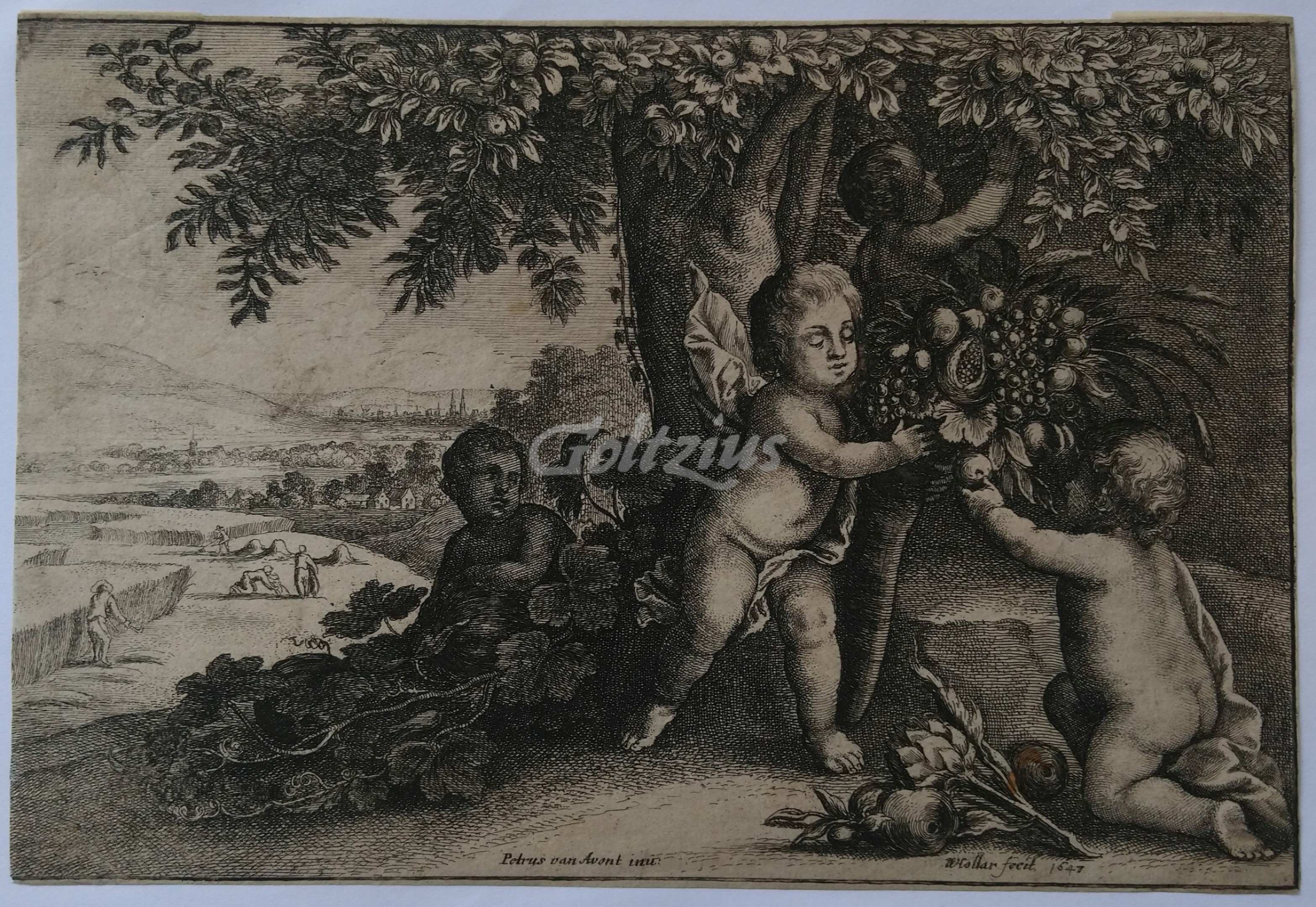 HOLLAR, WENCESLAUS (1607-1677), Putti with cornucopia: Earth