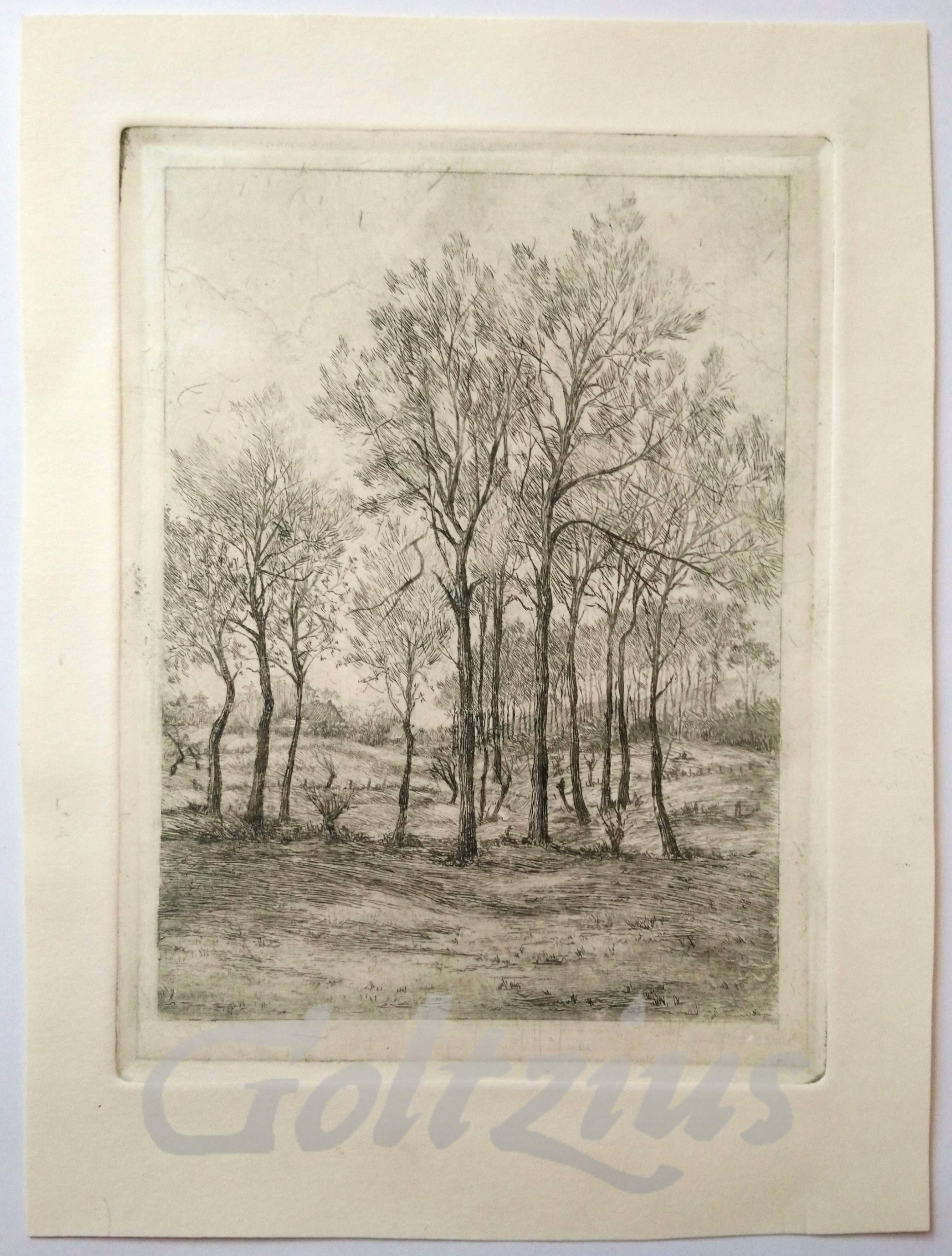 ANONYMOUS, Landscape with trees