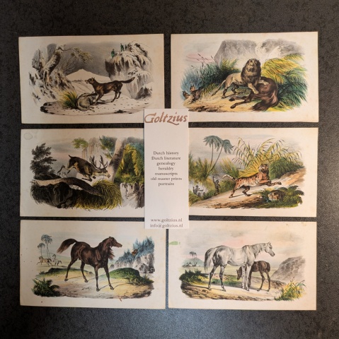 Vorlegeblätter. Thiere zum nachzeichnen u. illuminiren für Kinder.