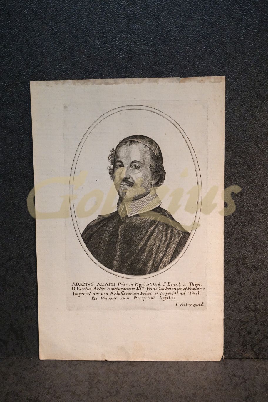 Portrait of Adam Adami