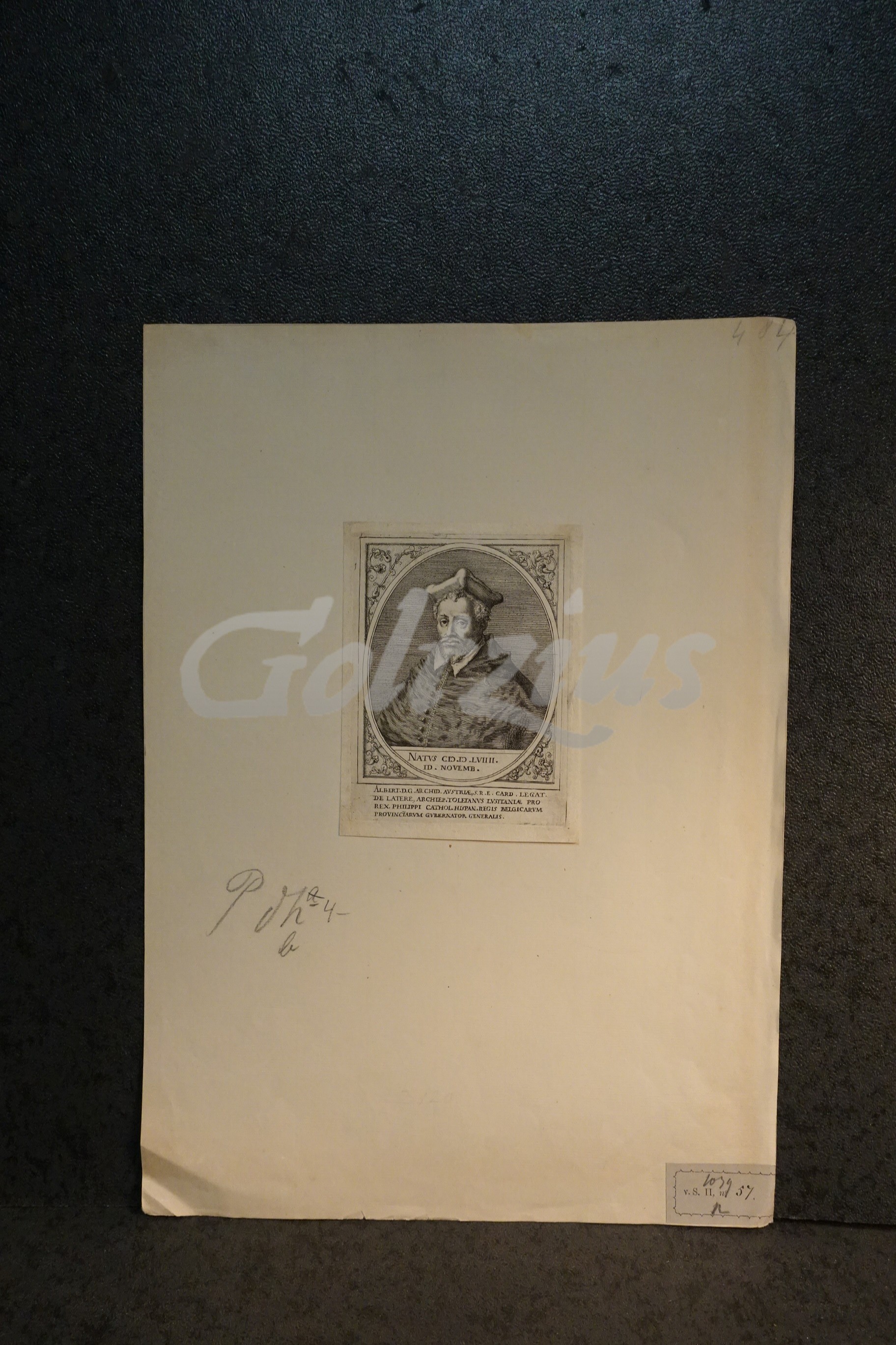 Engraving of Albert VII, Archduke of Austria