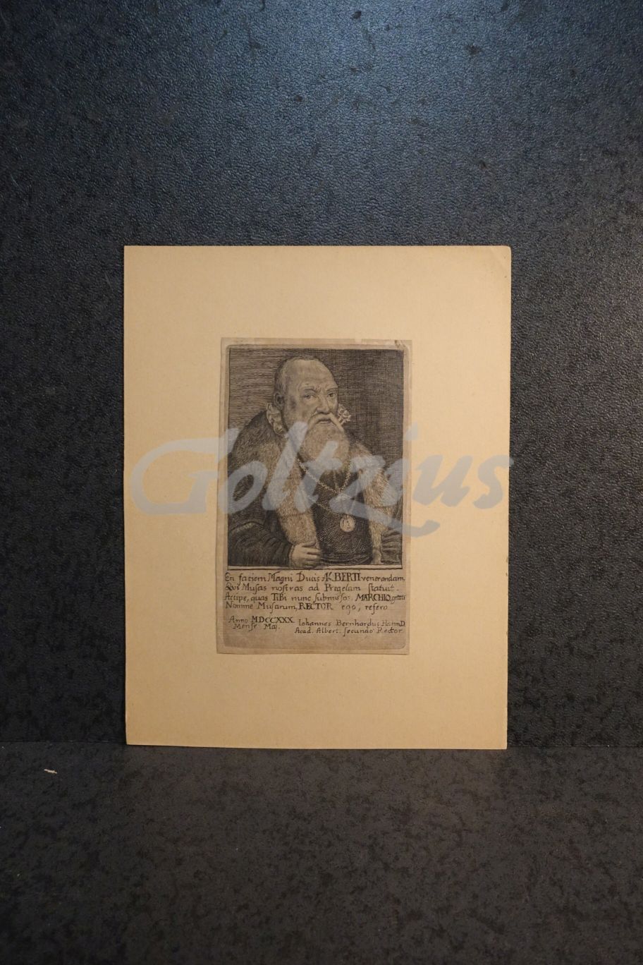 Portrait of Albert of Prussia