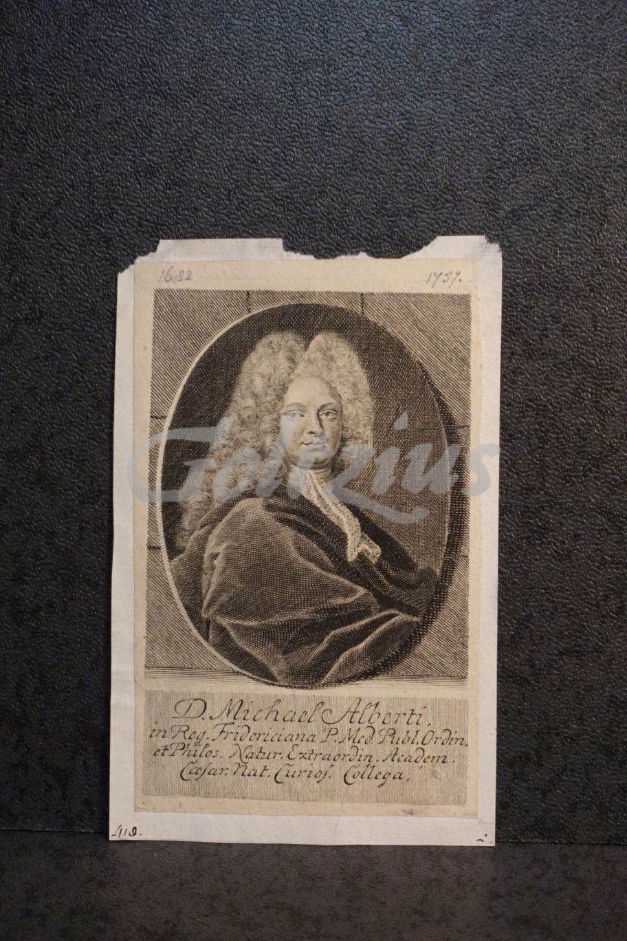 Portrait of Michael Alberti