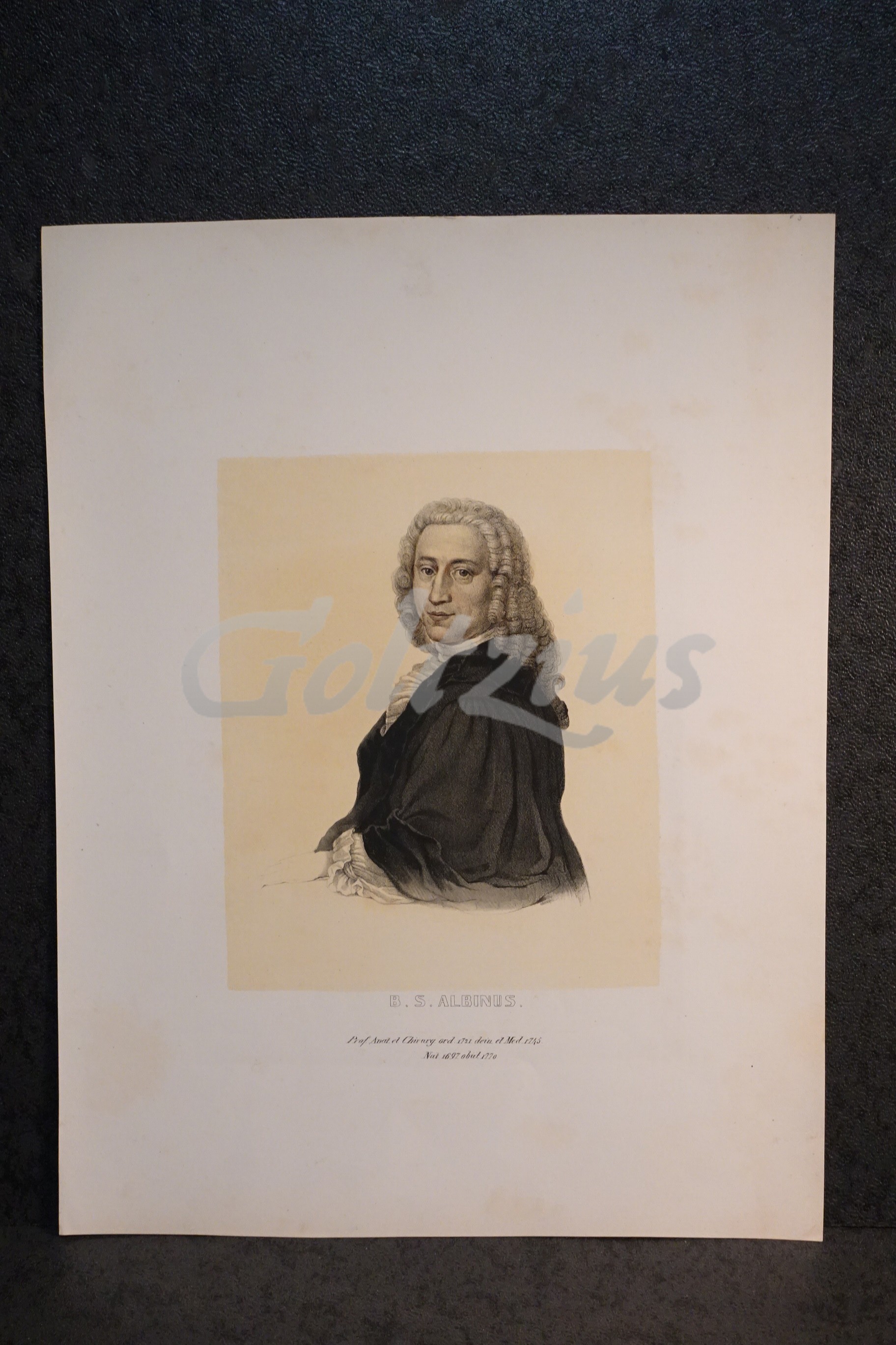 Portrait of Bernhard Siegfried Albinus