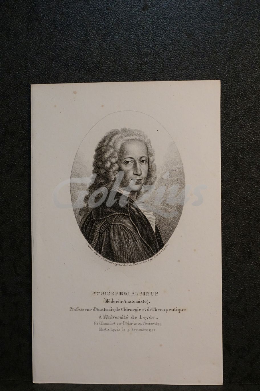 Portrait of Bernhard Siegfried Albinus