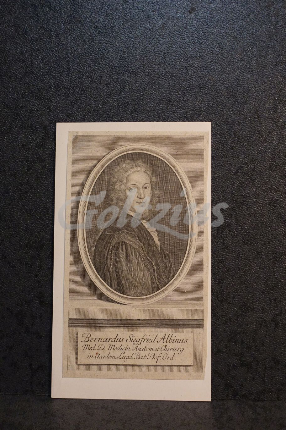 Portrait of Bernhard Siegfried Albinus