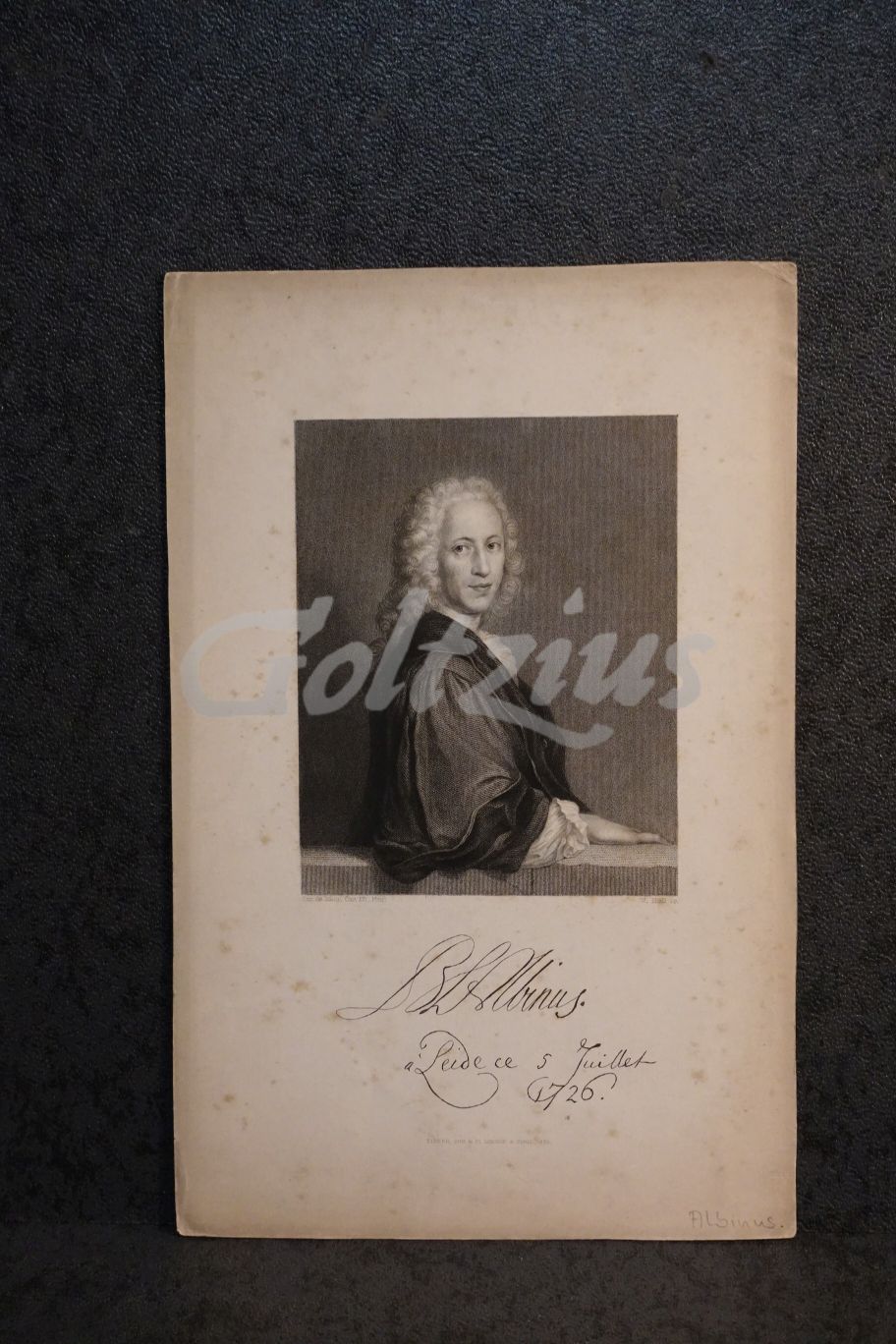 Portrait of Bernhard Siegfried Albinus