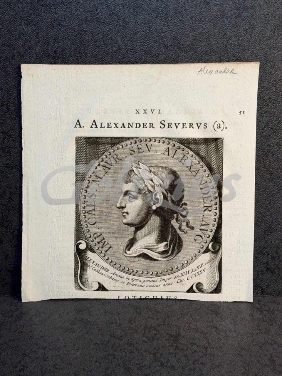 Portrait of Pope Alexander III