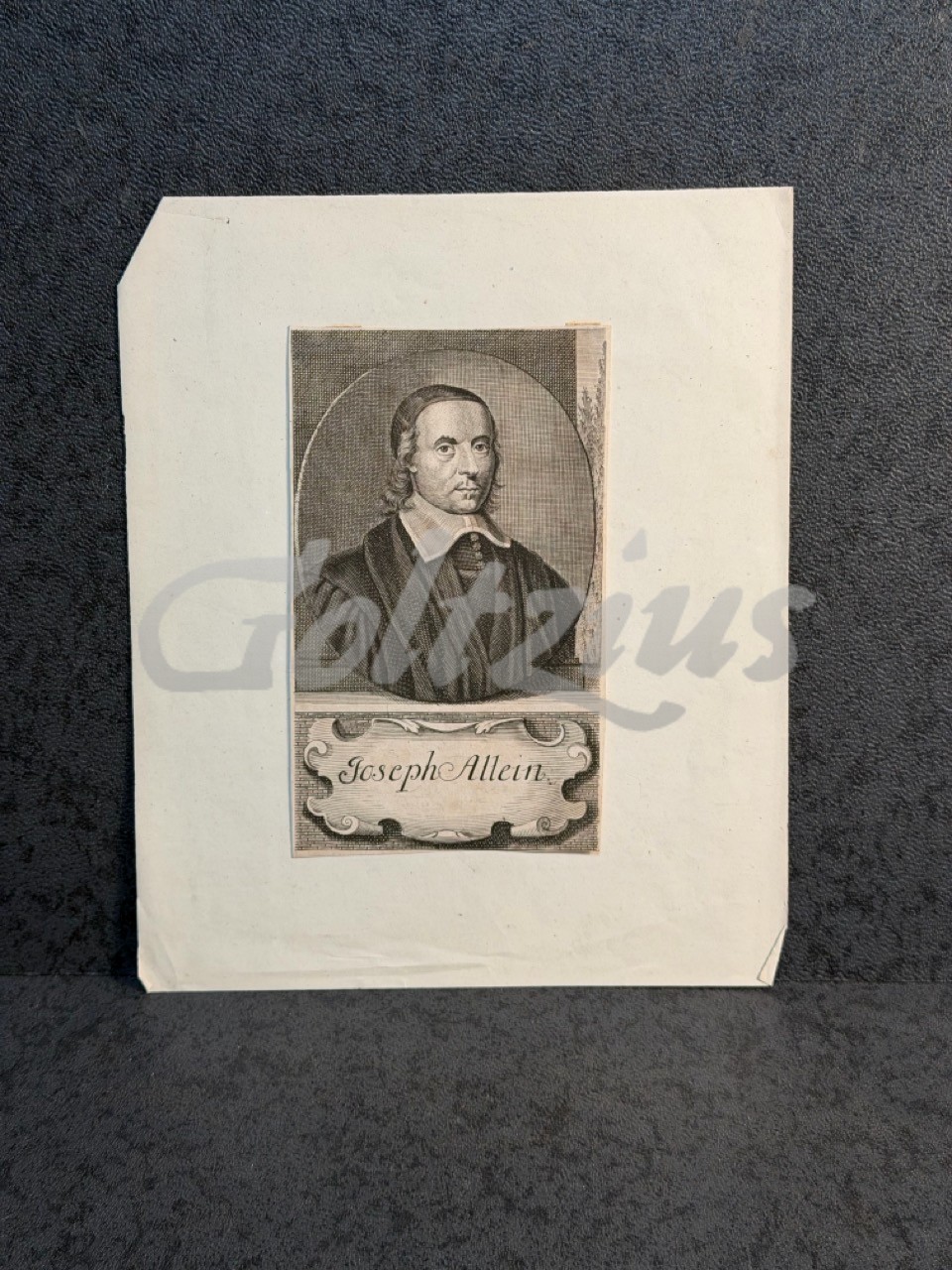 Portrait of Joseph Allein
