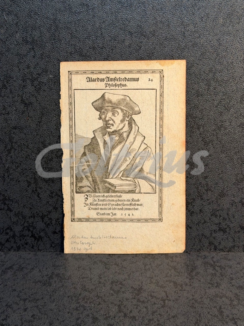 Portrait of Alardus Amstelredamus