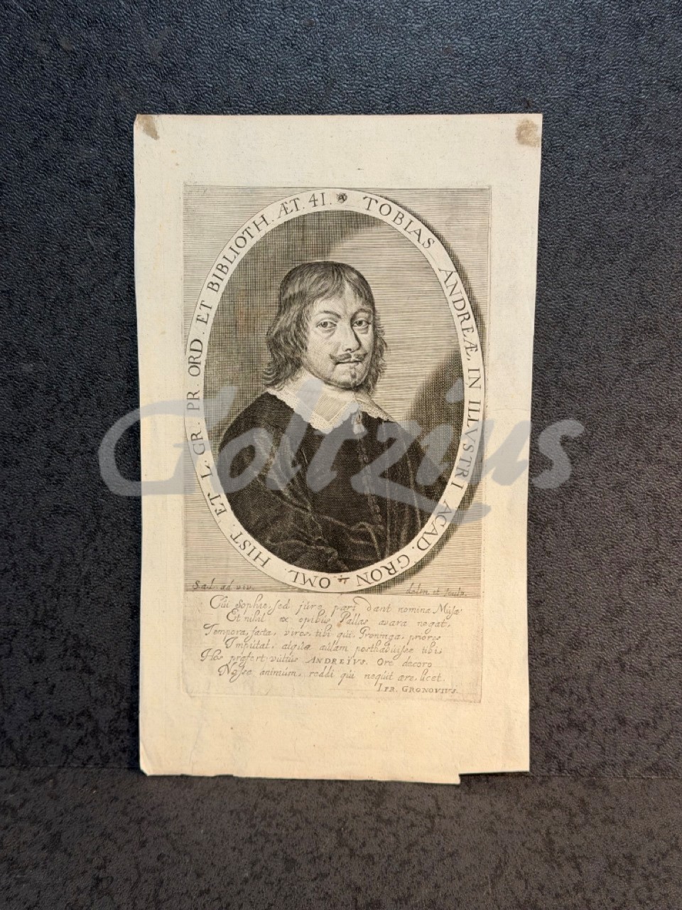 Portrait of Tobias Andreae