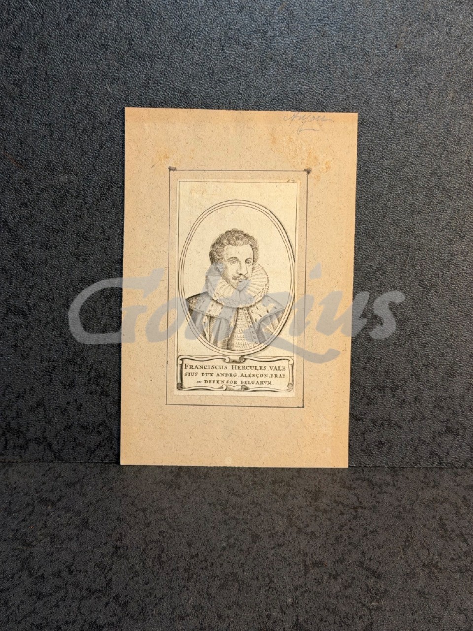 Portrait of Francis, Duke of Anjou