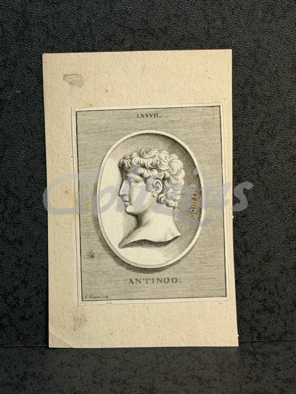 Portrait of Antinous