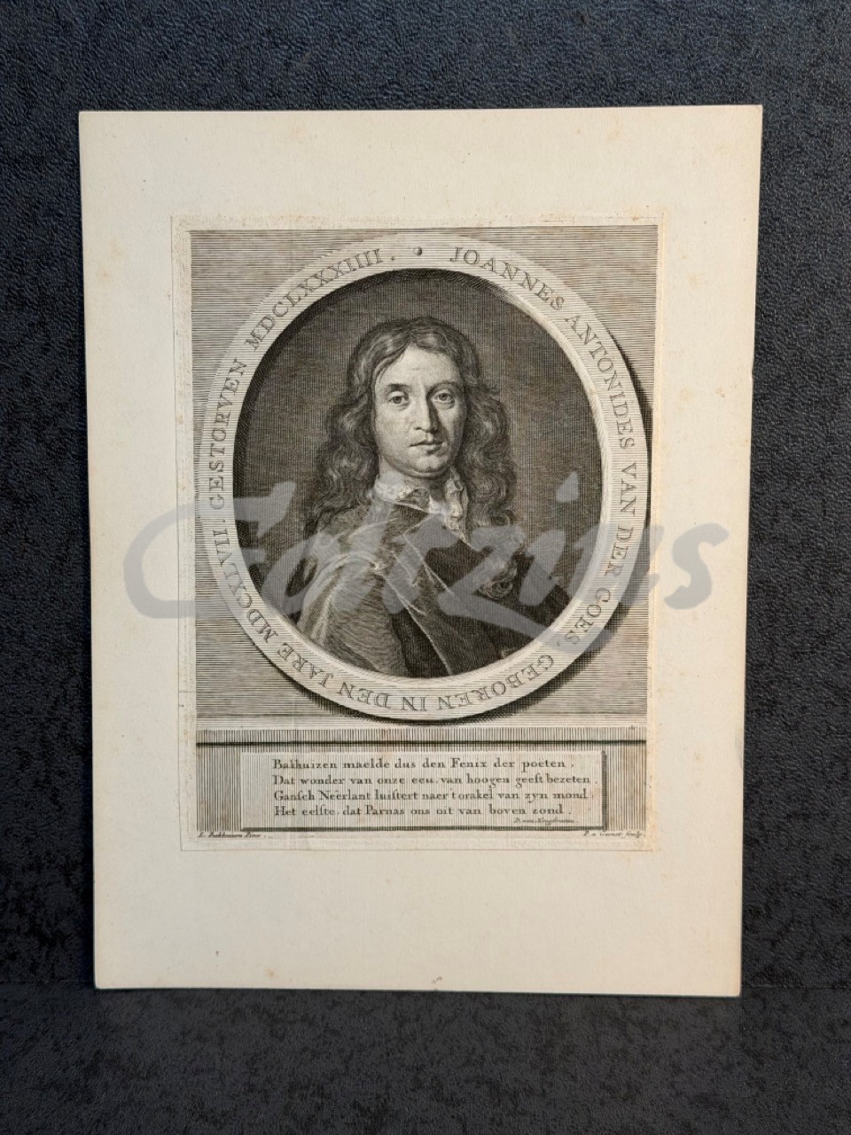 Portrait of Joannes Antonides van der Goes