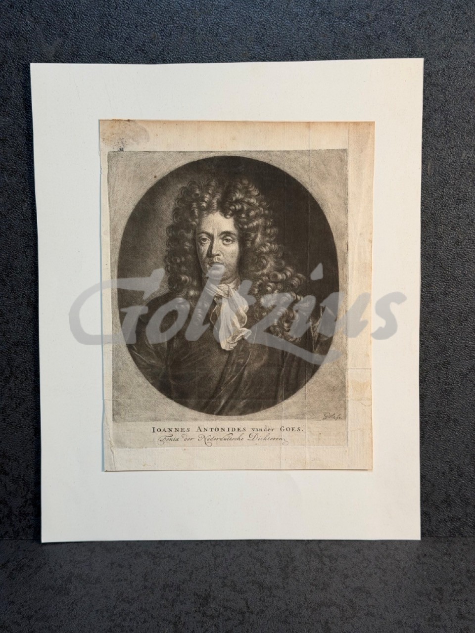 Portrait of Joannes Antonides van der Goes