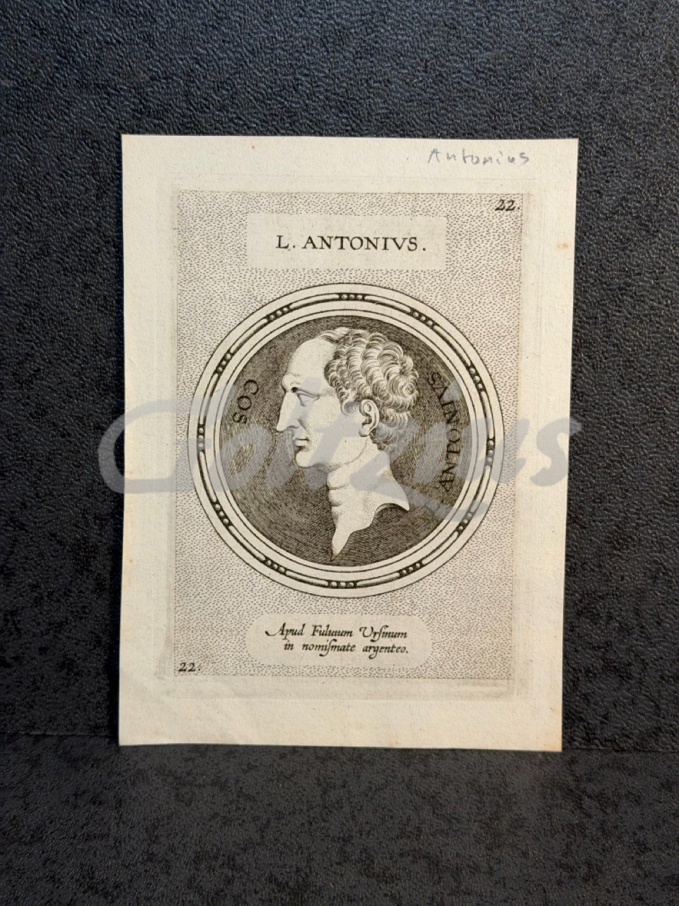 Portrait of Lucius Antonius