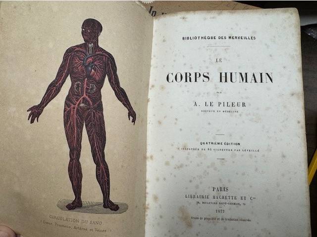 PILEUR,A. LE, LE CORPS HUMAIN. Bibliotheque des Merveilles.