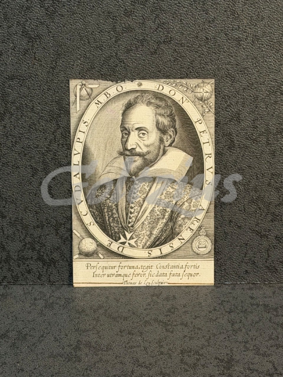 Portrait of Petrus Arlensis de Scudalupis