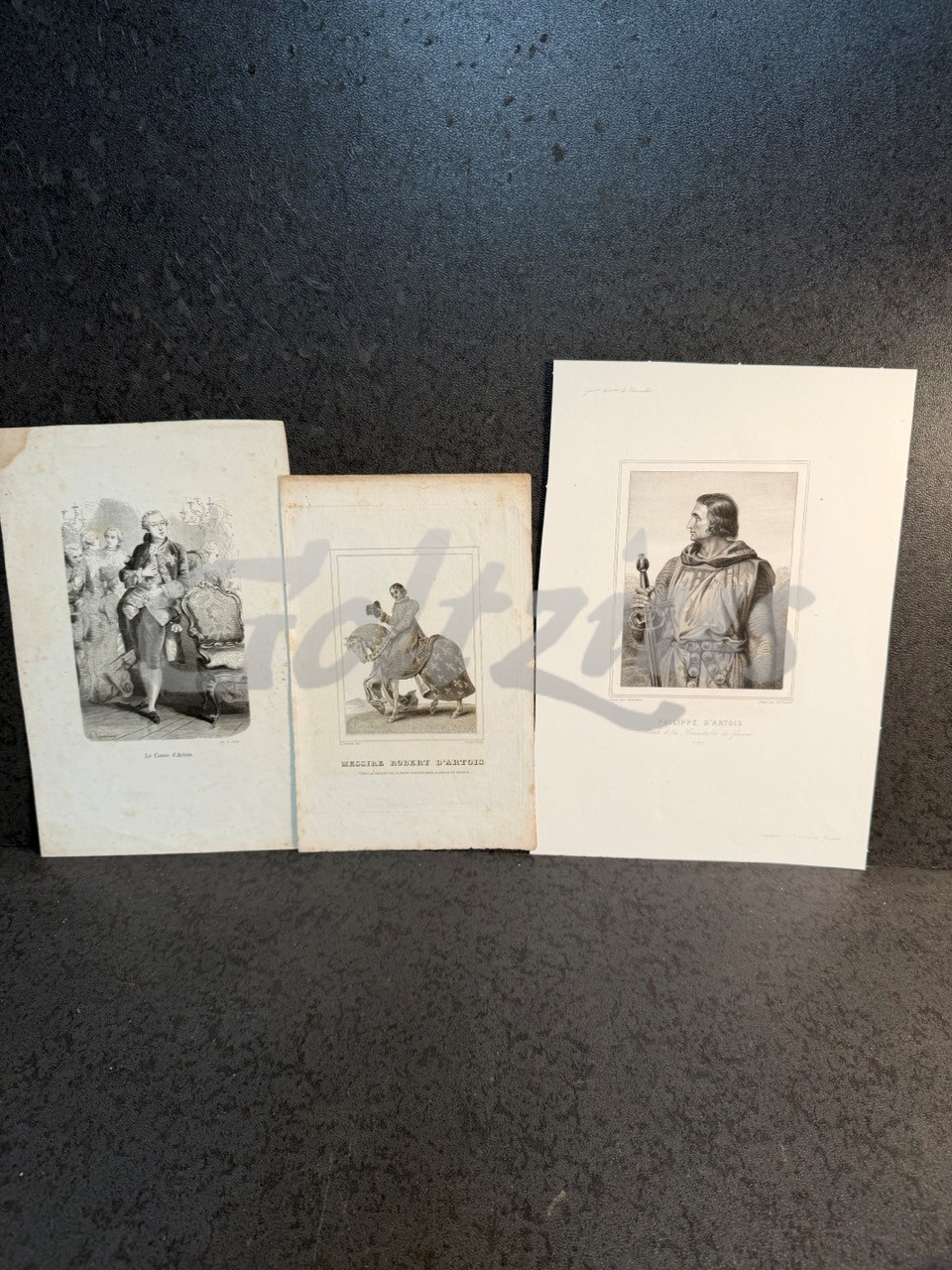 Portraits of counts d'Artois