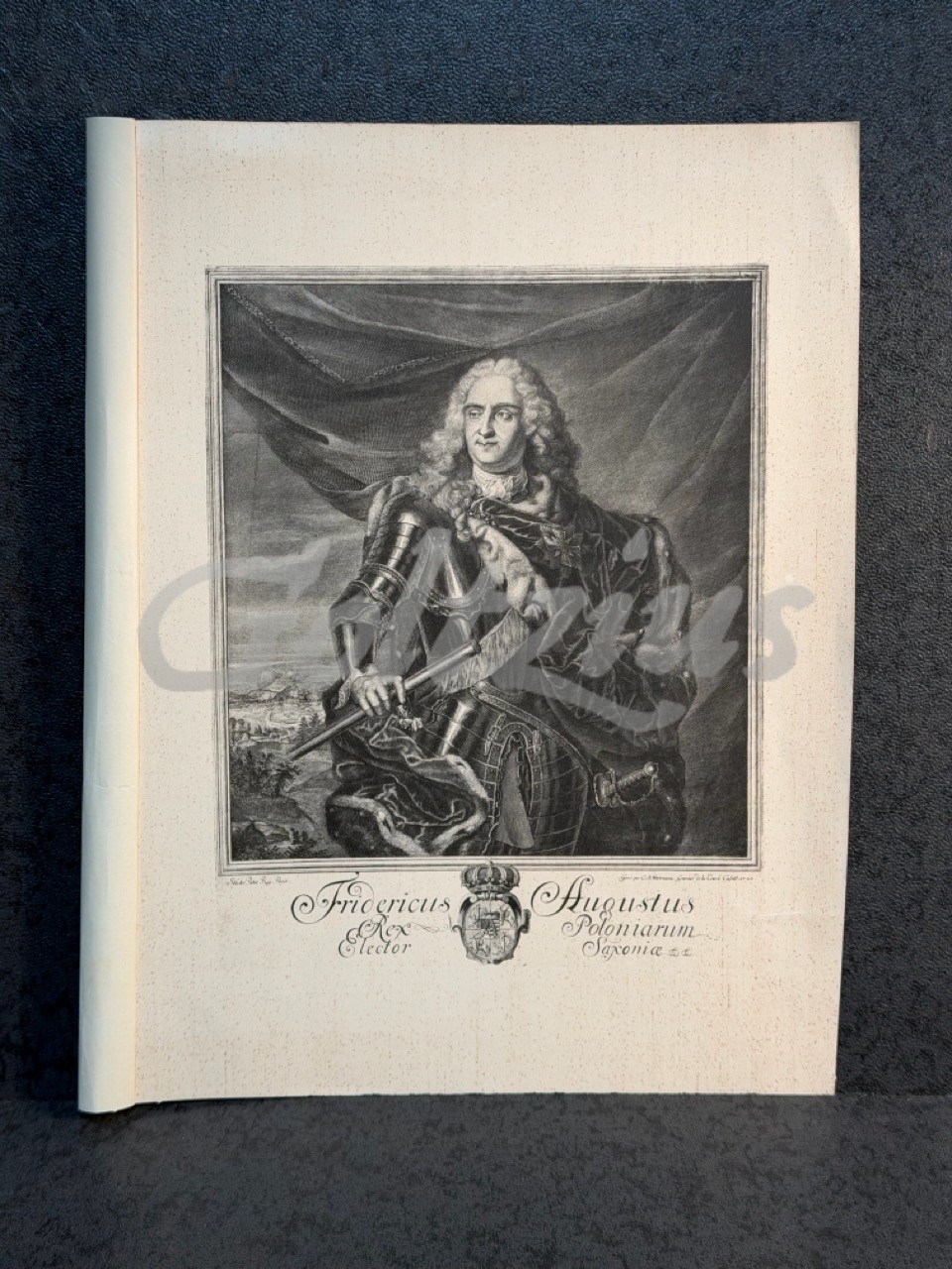 Portrait of August II