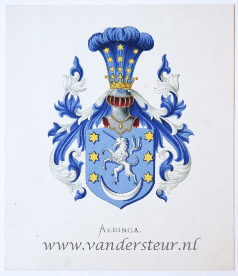  - Wapenkaart/Coat of Arms: Aebinga